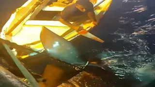 ملك البحار يعود لمملكته.. ظهور جديد لـ"بهلول المسالم" بعد واقعة الصيد الدامية