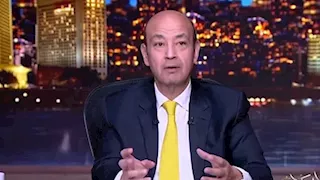 ملف القمح "سلك عريان".. أديب يتساءل عن دور "مستقبل مصر" في استيراد خبز المصريين