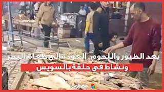 بعد الطيور واللحوم.. العودة إلى طعام البحر ونشاط في حلقة السمك بالسويس