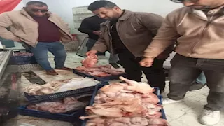 الجيزة: ضبط 42 طن مصنعات لحوم وأحشاء ورؤوس حيوانية ودواجن فاسدة