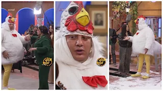 بعد ظهوره في شكل ديك بمقلب "ألف ليلة".. فيفي عبده لـ حمو بيكا: "ناقصك منقار"