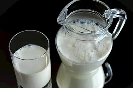 السوبيا في رمضان- هل تحمي من حصوات الكلى؟