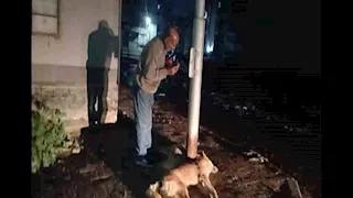 محافظ السويس يتفقد الأرض المخصصة لإنشاء شلتر للكلاب الضالة