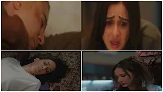 "صافي في أولاد الراعي" و"علياء في الست موناليزا".. جرائم قتل غريبة تثير الجدل