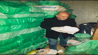 ضبط 6 أطنان دواجن داخل مجزر غير مرخص بالقناطر الخيرية - صور