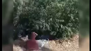 مفاجأة عقب ضبط أطراف فيديو الاعتداء على سيدة وإلقائها بترعة في البحيرة 