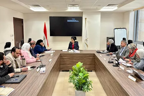 ‎الصحة: دخول مواليد 2000 مرحلة الإنجاب يضيف 350 ألف أم سنويا 