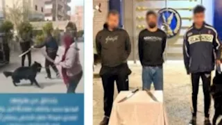 المشاجرة التي شغلت السوشيال.. تفاصيل خناقة الكلب والساطور بالمنوفية