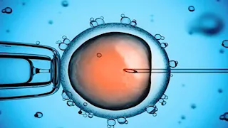 وثائق إبستين تكشف تفاصيل مشروع سري لاستنساخ البشر.. ما القصة؟