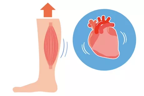اختبار عضلة القلب في المنزل- فحص يطمئنك في 5 ثوان 