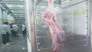 صور.. بدء التشغيل التجريبى لمجزر بلطيم بكفر الشيخ بتكلفة 36.7 مليون جنيه