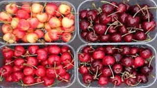 من تعزيز النوم إلى حماية المفاصل… إليك الفوائد الصحية للكرز