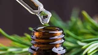 مقاومة للبكتيريا.. تعرف على البديل الطبيعي للمضاد الحيوي بمفعوله القوي