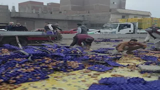 بالصور.. انقلاب سيارة نقل محملة بالبيض على الطريق الزراعي بالبحيرة