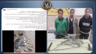 الداخلية تكشف تفاصيل فيديو سرقة حواجز خرسانية بالإسكندرية