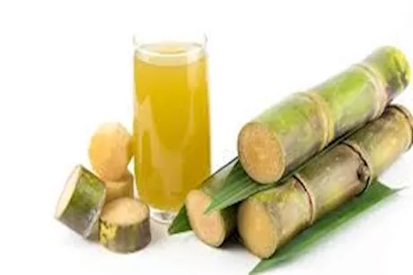 عصير قصب السكر- يعالج الصفراء حقيقة أم خرافة؟