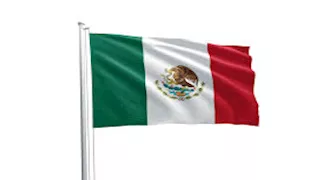 قبل مونديال 2026.. انتشار وباء في مدينة مكسيكية تستضيف كأس العالم