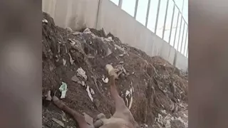 تحرك عاجل في الجيزة بعد فيديو "القمامة" بالأهرامات.. لجنة ثلاثية لفحص المنطقة 