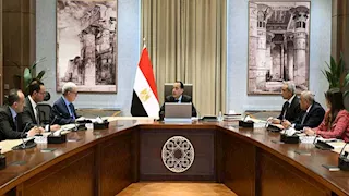 الحكومة: دمج 7 هيئات اقتصادية وتحويل 7 أخرى إلى عامة