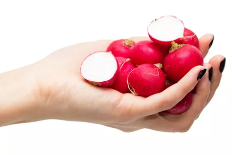 الفجل في رمضان.. طببية توضح فوائده للنساء