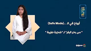 أرواح في الـ  ..(Mode Safe)" من بحر البقر" لـ "شجرة طيبة "