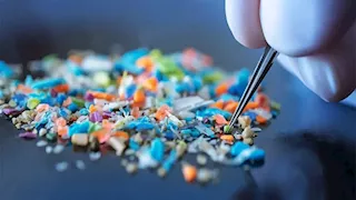 "سم خفي".. تحذير من جسيمات بلاستيكية تضر بالقلب والمناعة