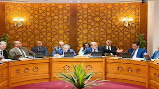 الخارجية تستقبل سفراء دول الاتحاد الأوروبي المعتمدين في القاهرة.. صور 