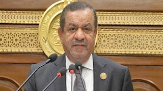 عبدالسلام الجبلي: ربط المشروعات الزراعية بـ"حياة كريمة" يحويل الريف إلى قلاع إنتاجية