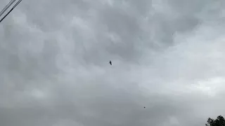 محافظة كفر الشيخ تحذر المواطنين :"تجنبوا الخروج وقت ذروة الأمطار”