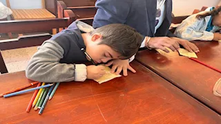 متحف شرم الشيخ يطلق فعاليات "الكامب الشتوي 2" بورشة عن "رمزية القطط"