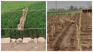 رياح شديدة تُسقط برج ضغط عالٍ بمدينة الفشن في بني سويف