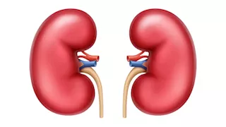 يحبها كثيرون.. أطعمة شهيرة عدو خفي للكلى في آخر أيام رمضان