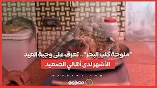 "ملوحة كلب البحر".. تعرف على وجبة العيد الأشهر لدى أهالي الصعيد