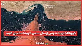 رداً على دعوة ترامب.. كوريا الجنوبية تدرس إرسال سفن حربية لمضيق هرمز