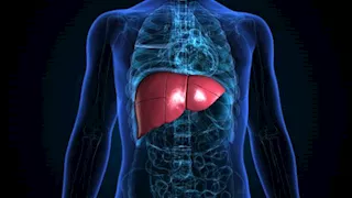 7 عادات غذائية قد تضر الكبد دون أن نشعر- هل تعرفها؟