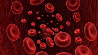 من مكونين فقط.. وصفة تساعد على زيادة مستويات الحديد في الجسم 