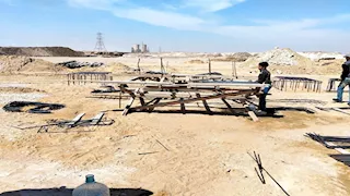 صور.. بدء تنفيذ مشروع "شلتر الكلاب الضالة" بالقاهرة