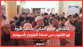 كأنك في الحرم المكي.. شاهد تلاوة تهز القلوب من صلاة التراويح بأسيوط