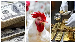 الذهب والدولار يتراجعان والدواجن ترتفع.. تحركات جديدة في الأسواق (نشرة رمضان الاقتصادية)