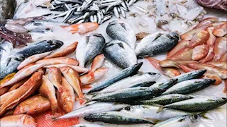 أسعار السمك والمأكولات البحرية اليوم الثلاثاء في سوق العبور.. ارتفاع البلطي