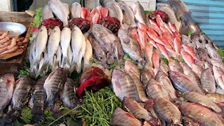 أسعار الأسماك والمأكولات البحرية اليوم الأربعاء في سوق العبور.. انخفاض البلطي