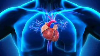   احرص عليه.. طعام يخفض الكوليسترول الضار ويقوي عضلة القلب