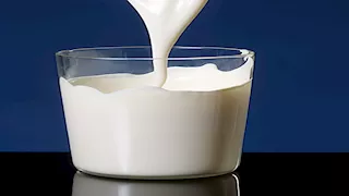 لا تتجاهلها.. فوائد حليب الناقة لصحة القلب والدماغ