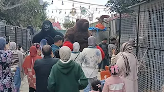 حدائق الحيوانات وجهة الأسر بكفر الشيخ في ثالث أيام العيد - صور