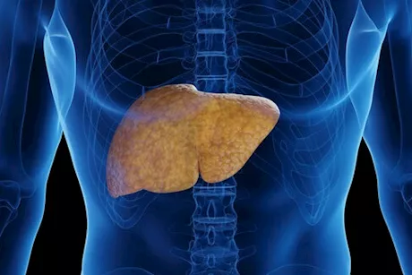نقص الكولين احذره- يصاب كبدك بمرض خطير عند انخفاضه بجسمك