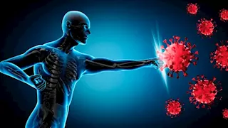 معلومات علمية مثيرة ستغير مفاهيمك: 70% من خلايا الجهاز المناعي بالأمعاء