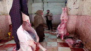 ضبط مجزر غير مرخص في حملة بكفر الشيخ - صور