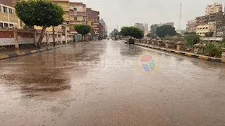 أمطار غزيرة وصقيع.. طقس سيئ يضرب كفر الشيخ - فيديو وصور 