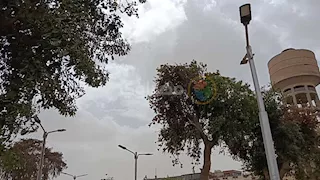 نشاط للرياح وسحب كثيفة.. هطول أمطار خفيفة على المنيا- فيديو وصور 