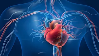  تجنبها بعد الساعة 8 مساءً.. 5 عادات تسبب أمراض القلب والأوعية الدموية